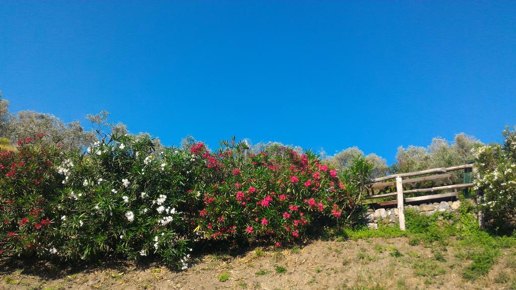 Agriturismo La Quiete Λεβάντο Εξωτερικό φωτογραφία