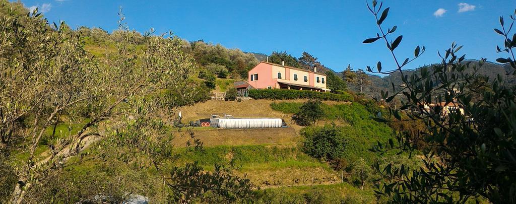 Agriturismo La Quiete Λεβάντο Εξωτερικό φωτογραφία